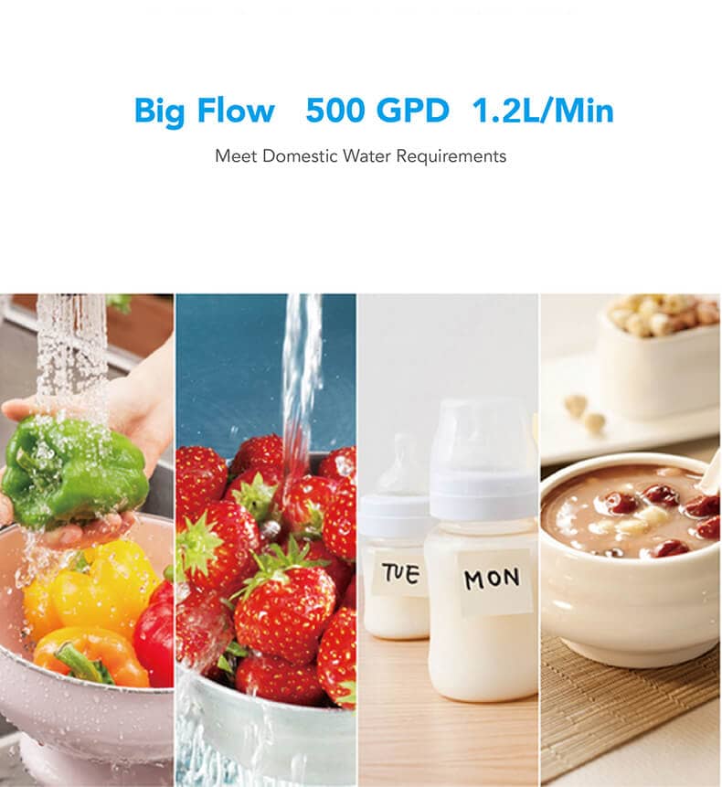 Big flow 500GPD